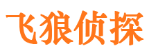 沙市捉小三公司